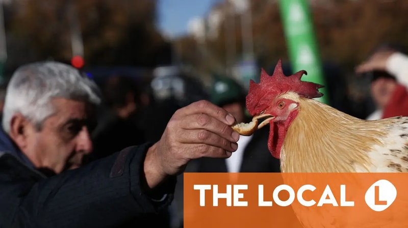Descubre el Misterio de Chicken Road en los Mejores Casinos de España - overview